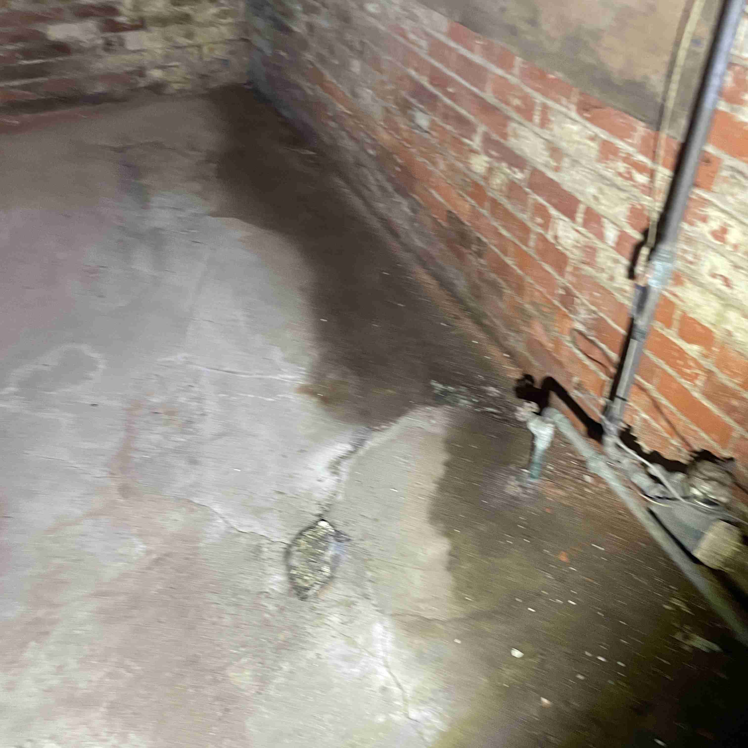 67 Englewood (95).jpg